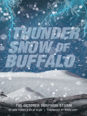 cover image of Thunder Snow of Buffalo